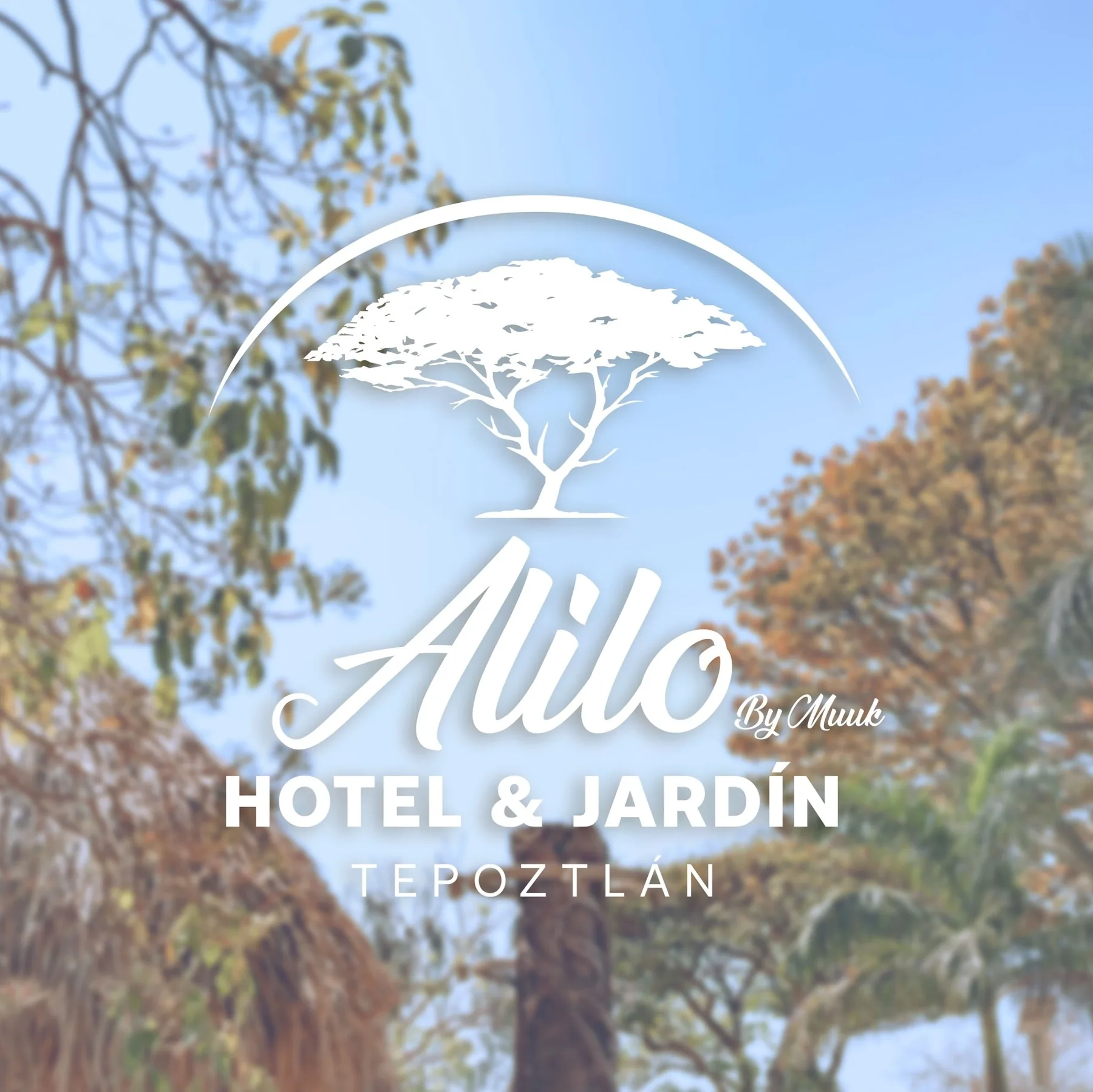 Alilo by Muuk
